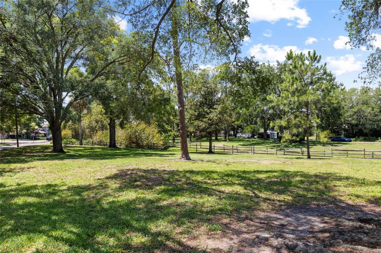 466 36th Avenue N, Saint Petersburg, FL 33704 Photo