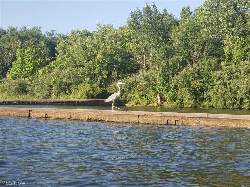 176 Rockridge Road, Chippewa Lake, OH 44215 Photo 4