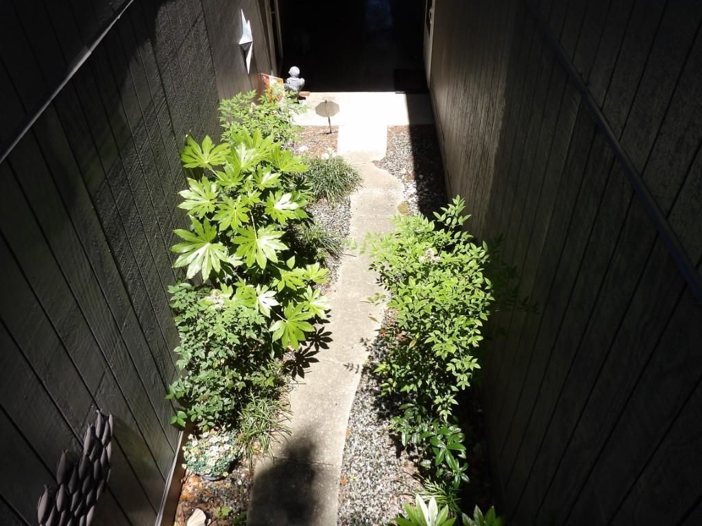 10301 N Kings Hwy.  Photo 23