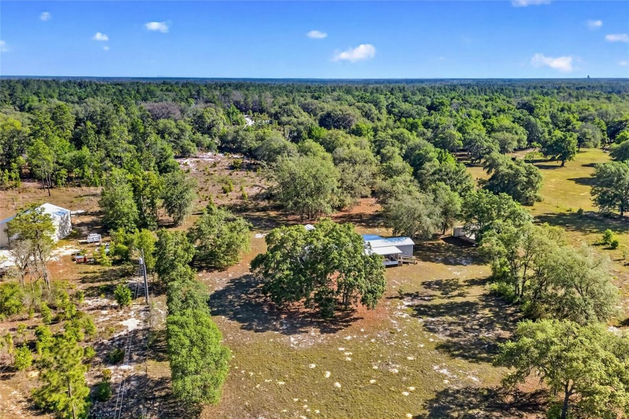 11751 NE 116th Street, Archer, FL 32618 Photo