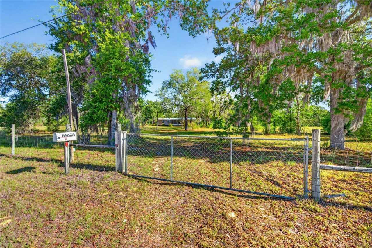 11751 NE 116th Street, Archer, FL 32618 Photo
