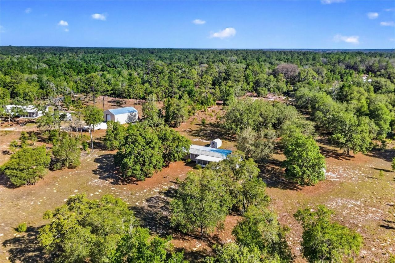 11751 NE 116th Street, Archer, FL 32618 Photo