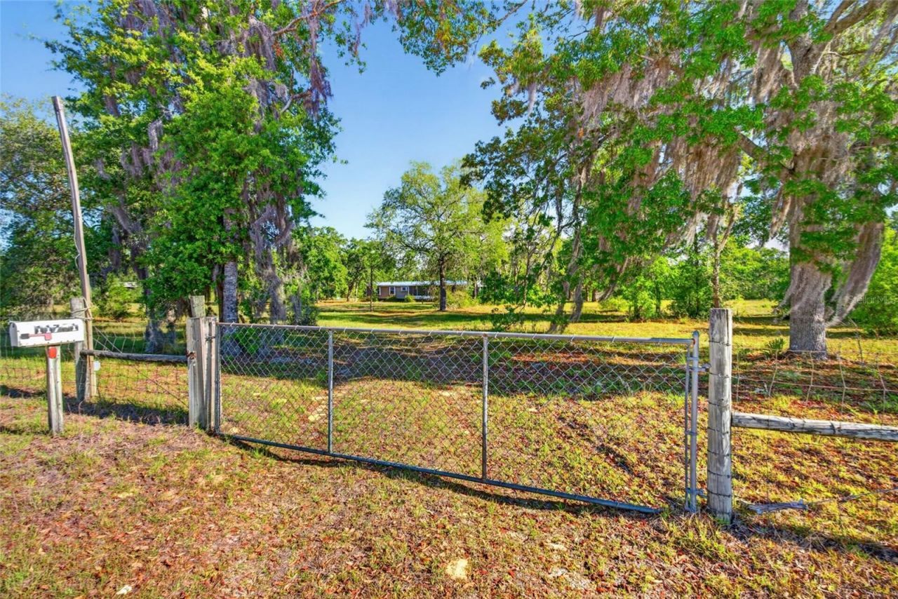 11751 NE 116th Street, Archer, FL 32618 Photo