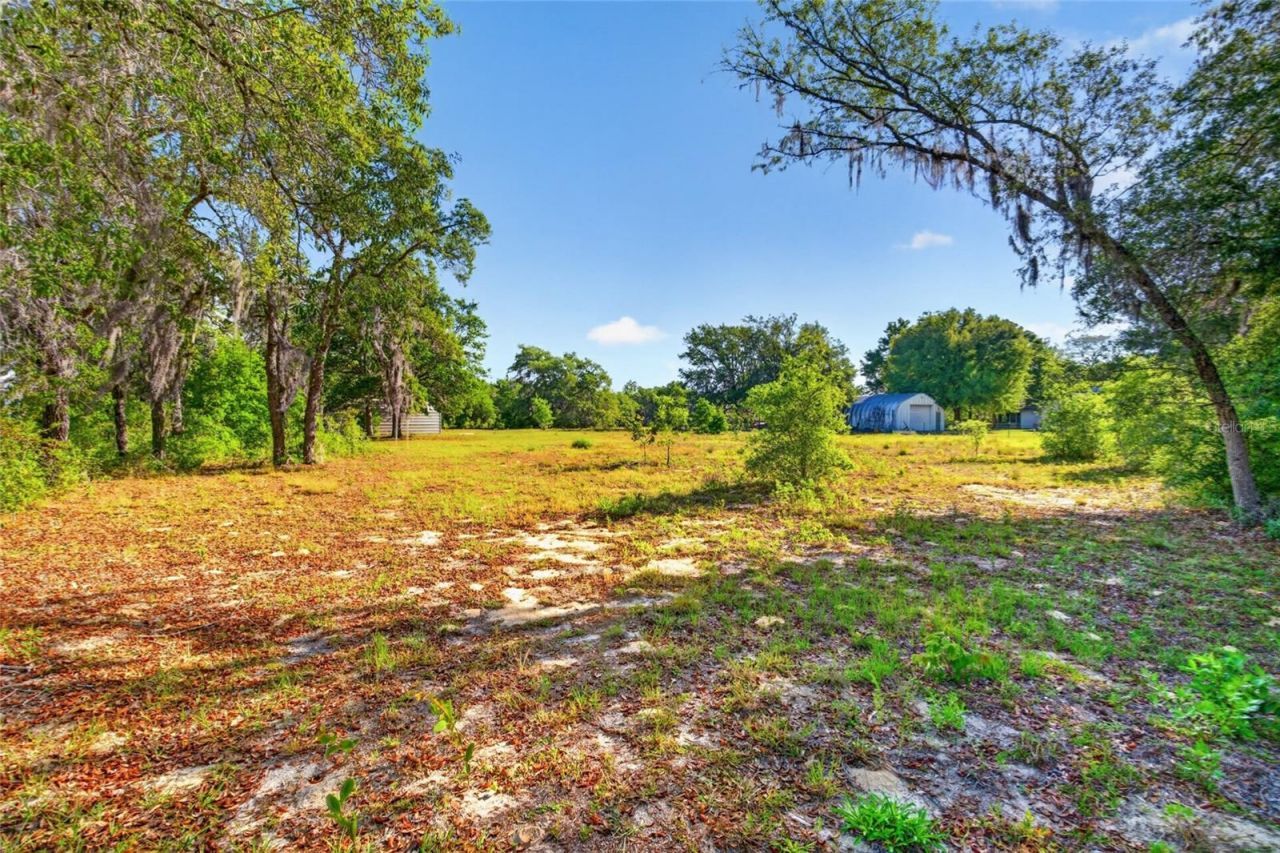 11751 NE 116th Street, Archer, FL 32618 Photo