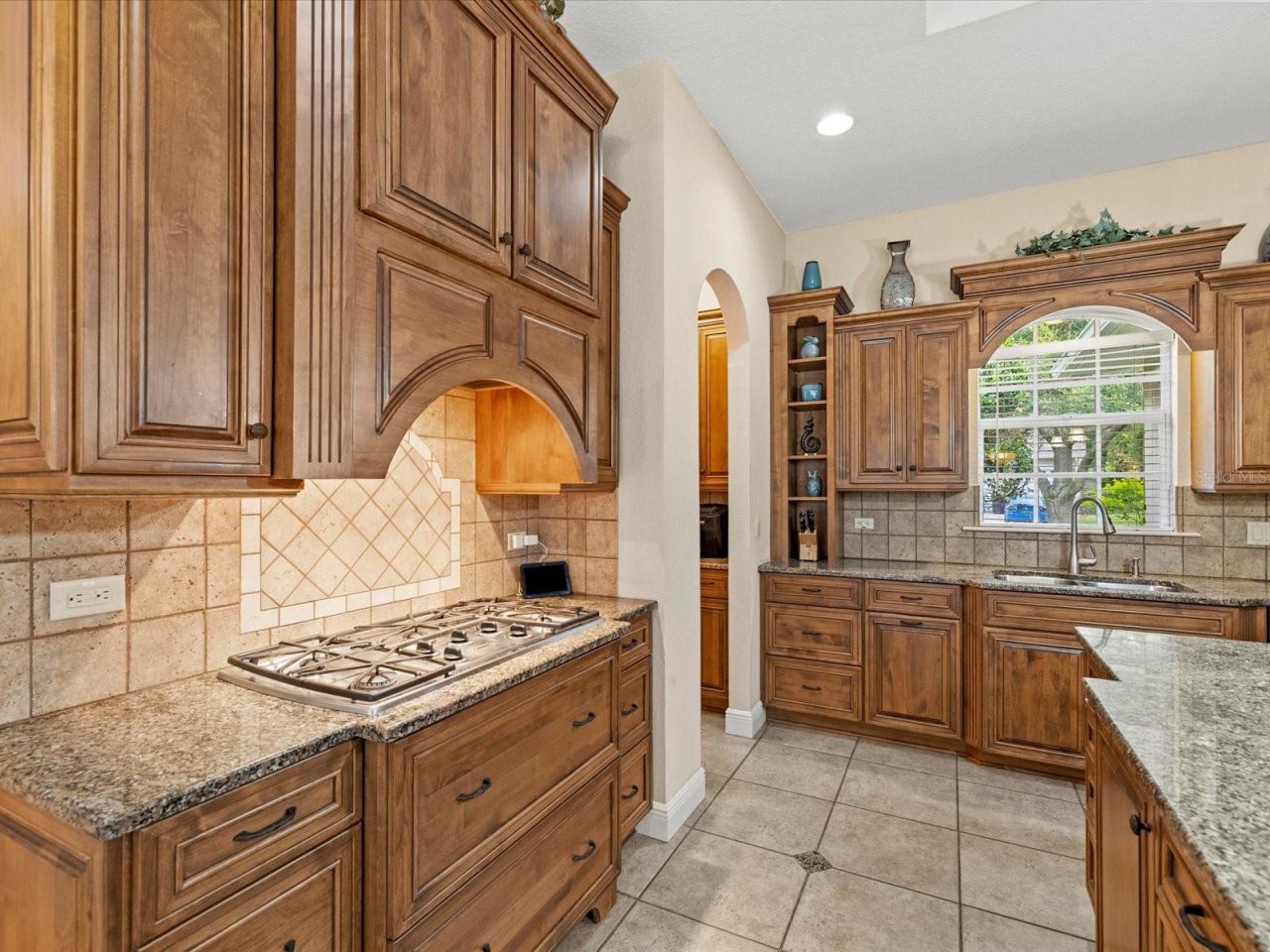 19617 Eagle Crest Drive , Lutz, FL 33549 Photo