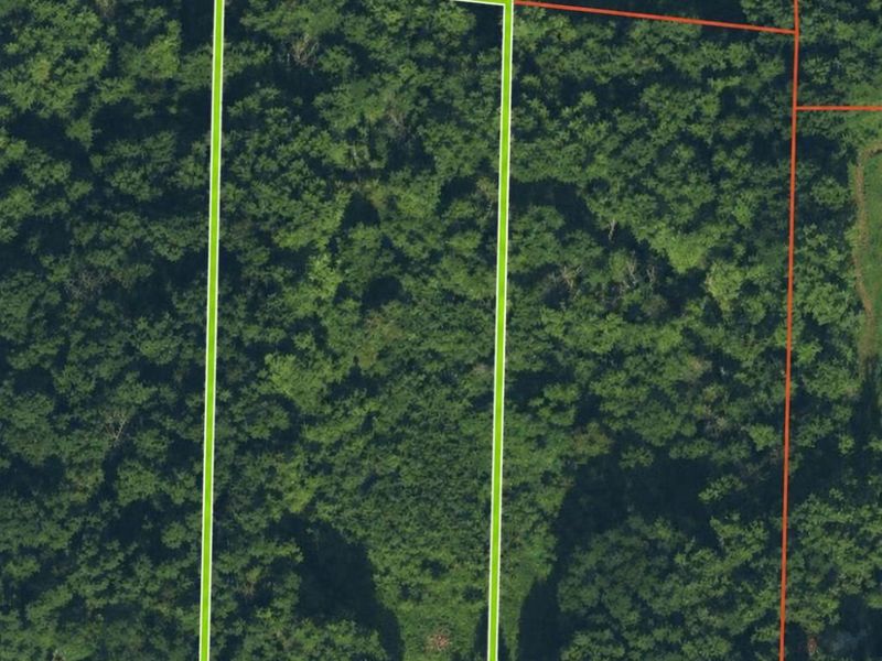 15471 Webber Road, Mount Orab, OH 45154 Photo 2