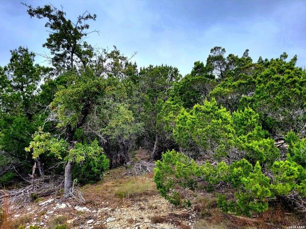 171 Appaloosa Dr, Fischer, TX 78623
