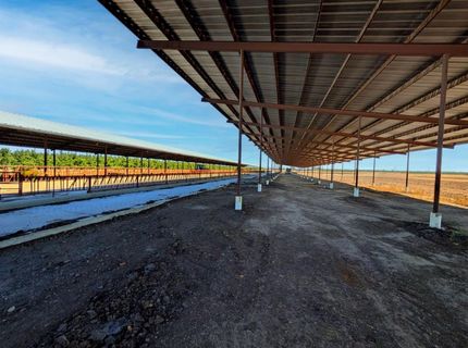 19542 N Jack Tone Rd, Lodi, CA 95240 Photo