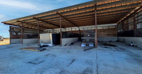 19542 N Jack Tone Rd, Lodi, CA 95240 Photo