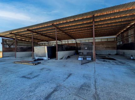 19542 N Jack Tone Rd, Lodi, CA 95240 Photo