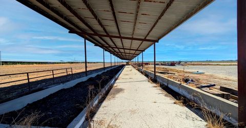 19542 N Jack Tone Rd, Lodi, CA 95240 Photo