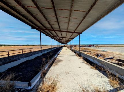 19542 N Jack Tone Rd, Lodi, CA 95240 Photo
