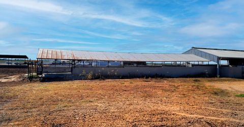 19542 N Jack Tone Rd, Lodi, CA 95240 Photo