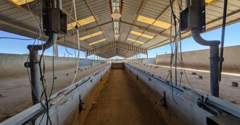 19542 N Jack Tone Rd, Lodi, CA 95240 Photo