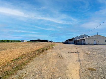 19542 N Jack Tone Rd, Lodi, CA 95240 Photo