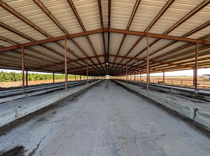 19542 N Jack Tone Rd, Lodi, CA 95240 Photo