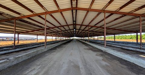 19542 N Jack Tone Rd, Lodi, CA 95240 Photo