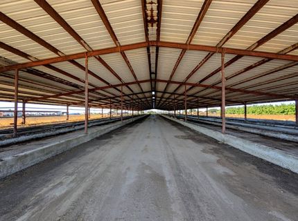 19542 N Jack Tone Rd, Lodi, CA 95240 Photo