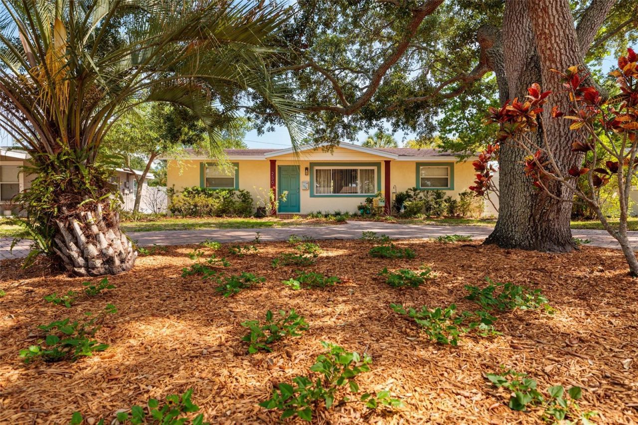 230 43rd Avenue Ne, Saint Petersburg, FL 33703 Photo