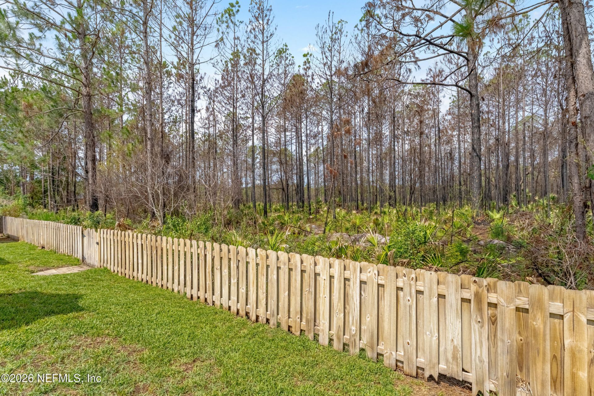 1664 Falkland Road E, Jacksonville, FL 32221 Photo