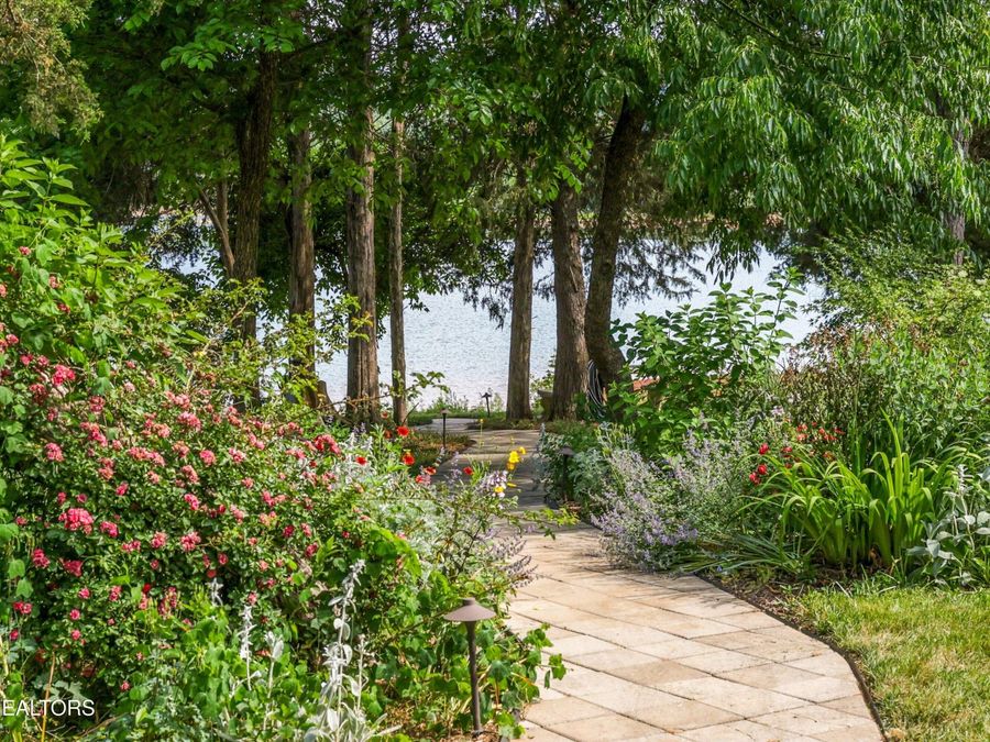 Property Image 55