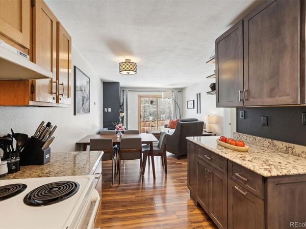 22974 US Highway 6 , Unit 102, Keystone, CO 80435