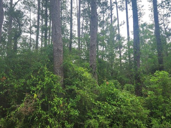 5th Street, Bay Saint Louis, MS 39520