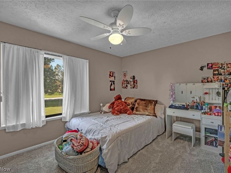 4102 Manchester Road, Perry, OH 44081 Photo 34