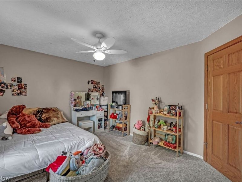 4102 Manchester Road, Perry, OH 44081 Photo 35
