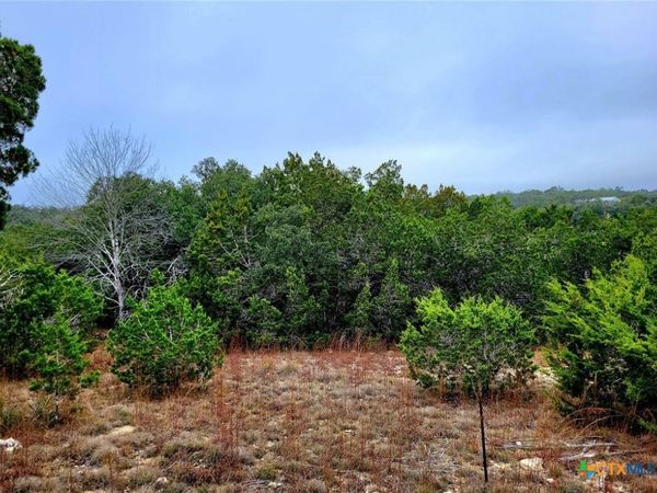 193 Appaloosa Drive , Fischer, TX 78623