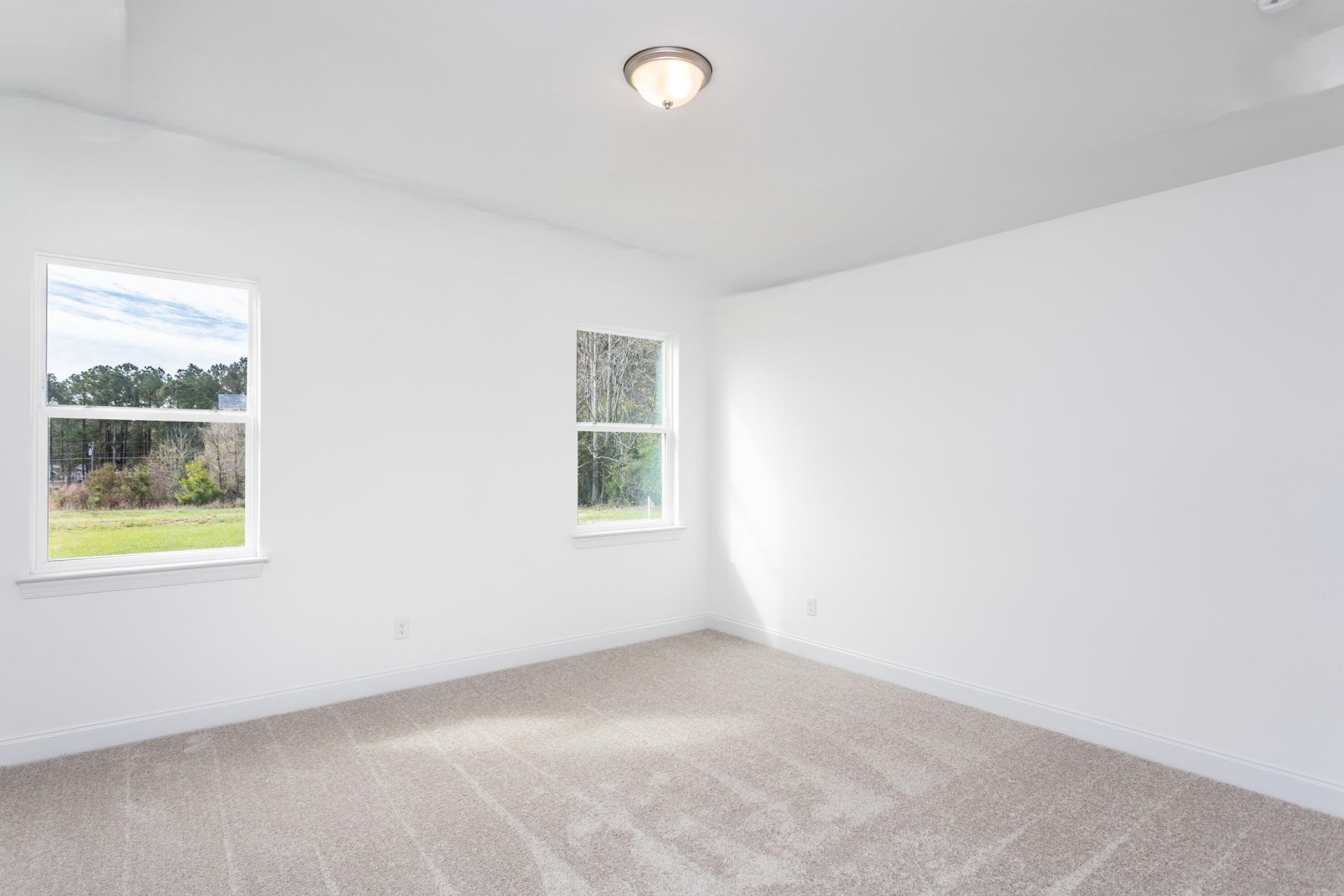 231 Palfrey Drive Photo 6
