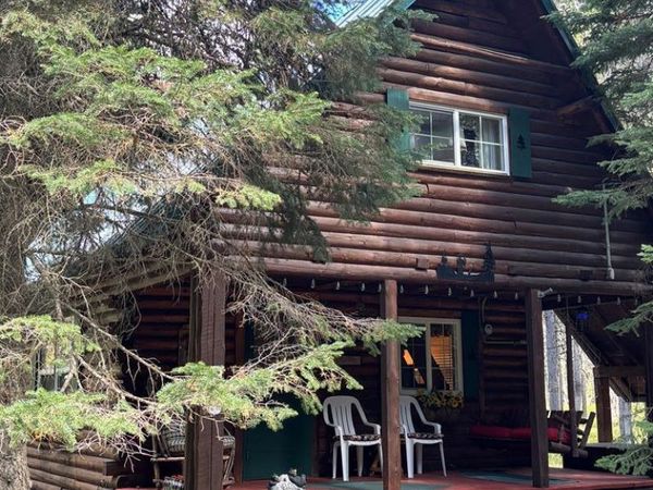 3739 Homestead Drive, ISLAND PARK, ID 83429
