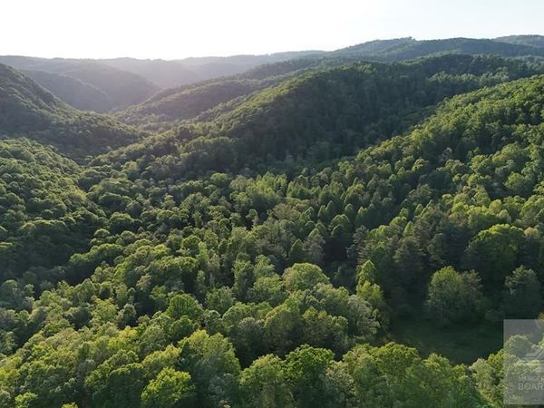 11 Old Schoolhouse Rd., Flat Top, WV 25841