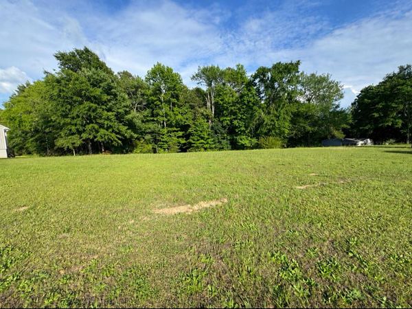 0 COUNTY ROAD 1223, Falkville, AL 35622