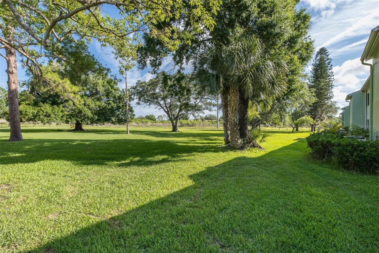 130 Nancy Drive, Unit 66, Oldsmar, FL 34677 Photo