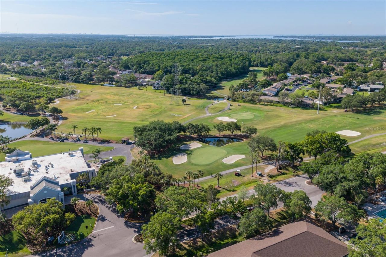 130 Nancy Drive, Unit 66, Oldsmar, FL 34677 Photo