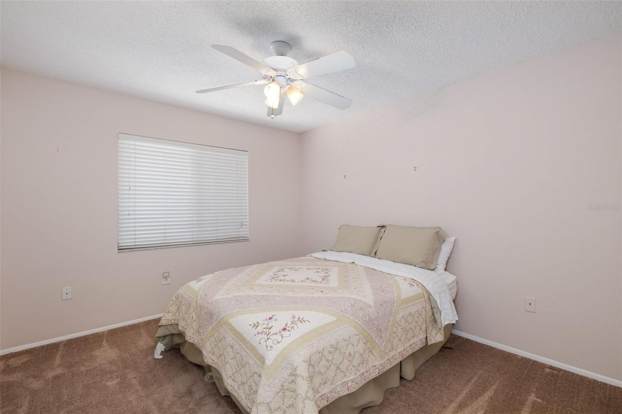 130 Nancy Drive, Unit 66, Oldsmar, FL 34677 Photo