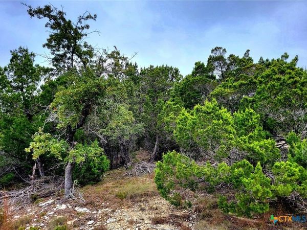 171 Appaloosa Drive , Fischer, TX 78623