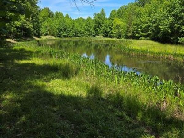 335 Healing Springs Drive, Denton, NC 27239