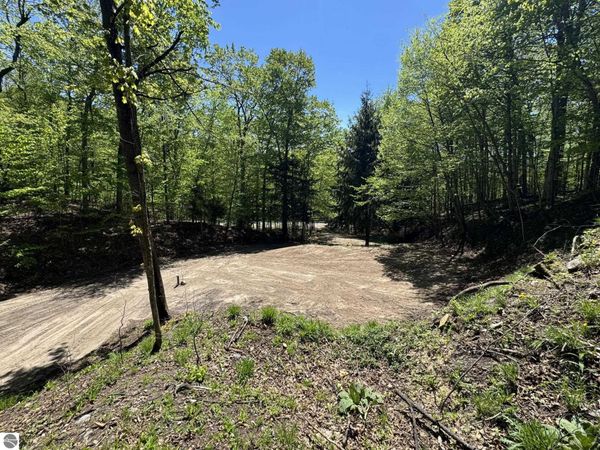 1801 Old Mountain Road E, Cedar, MI 49621