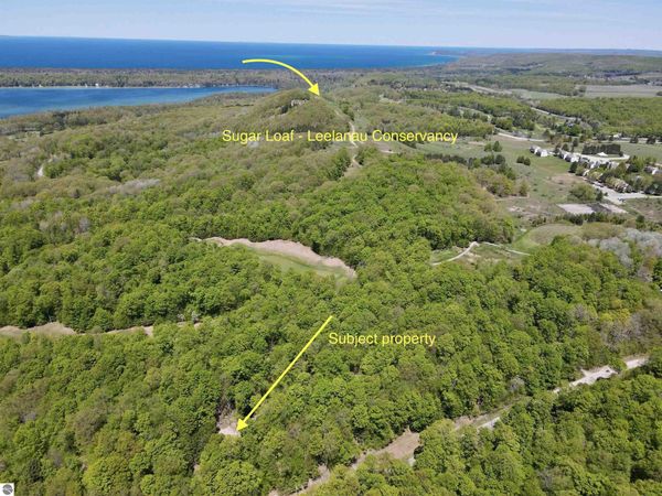 1801 Old Mountain Road E, Cedar, MI 49621