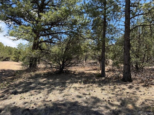 477 Bear Peak Road , Westcliffe, CO 81252