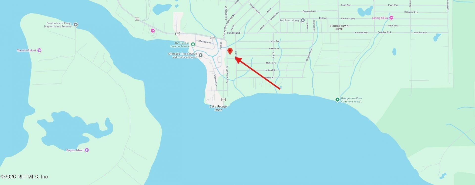 16 Georgetown Point Road, Georgetown, FL 32139 Photo