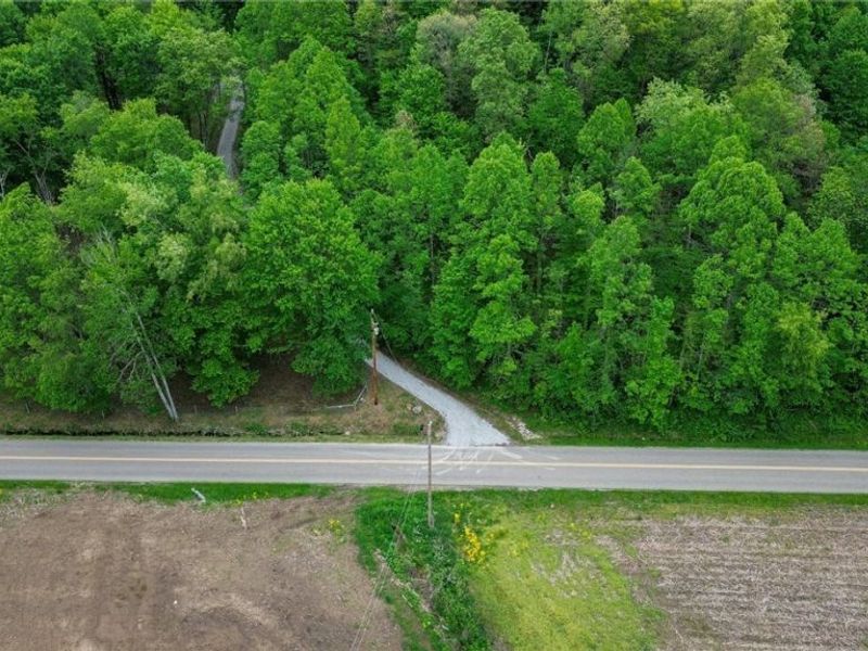 5309 Cherry Run Rd Road , Strasburg, OH 44680 Photo 10
