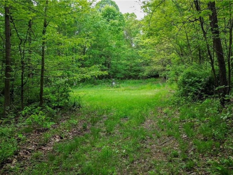 5309 Cherry Run Rd Road , Strasburg, OH 44680 Photo 15