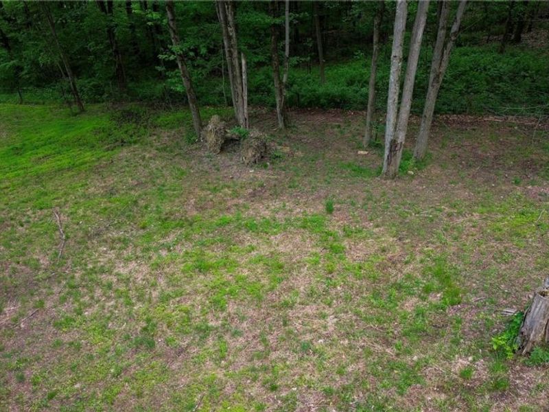 5309 Cherry Run Rd Road , Strasburg, OH 44680 Photo 18