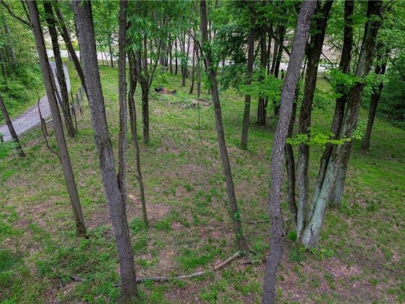 5309 Cherry Run Rd Road , Strasburg, OH 44680 Photo 20