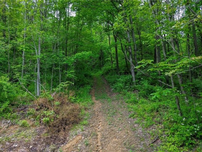 5309 Cherry Run Rd Road , Strasburg, OH 44680 Photo 21