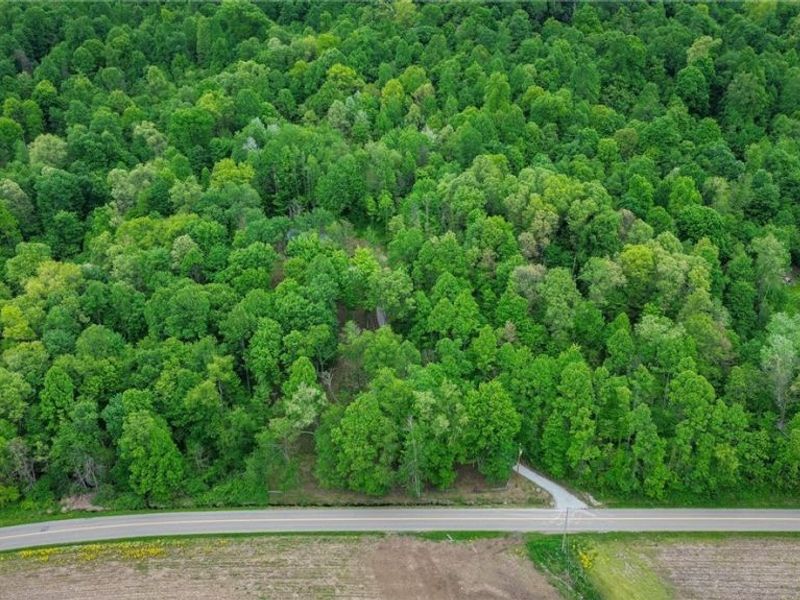 5309 Cherry Run Rd Road , Strasburg, OH 44680 Photo 37