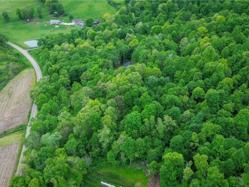 5309 Cherry Run Rd Road , Strasburg, OH 44680 Photo 40